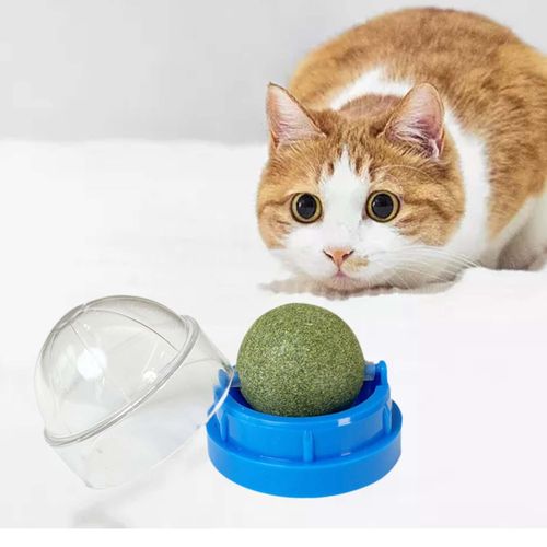 Catnip Licking Ball