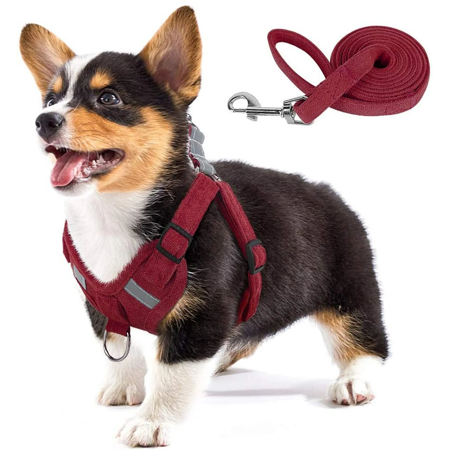 Suede Harness and Leash