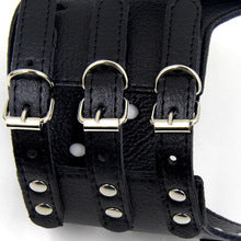Dog Leather Muzzle