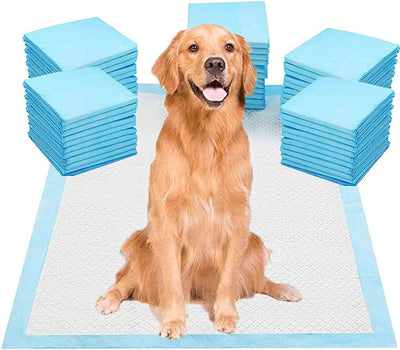 Pet Training Pads