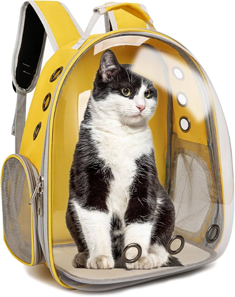 Transparent Pet Backpack Carrier