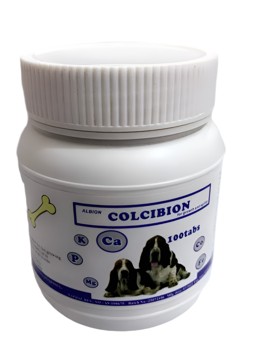 ALBION Colcibion Calcium and Phosphorus Supplement Exotic Pet Cafe