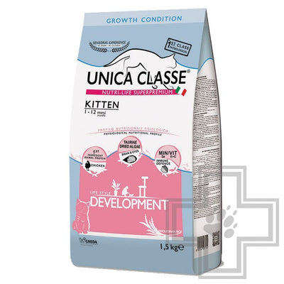 UNICA CLASSE - Kitten Development