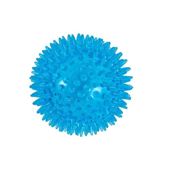 Bouncy Spiky Ball