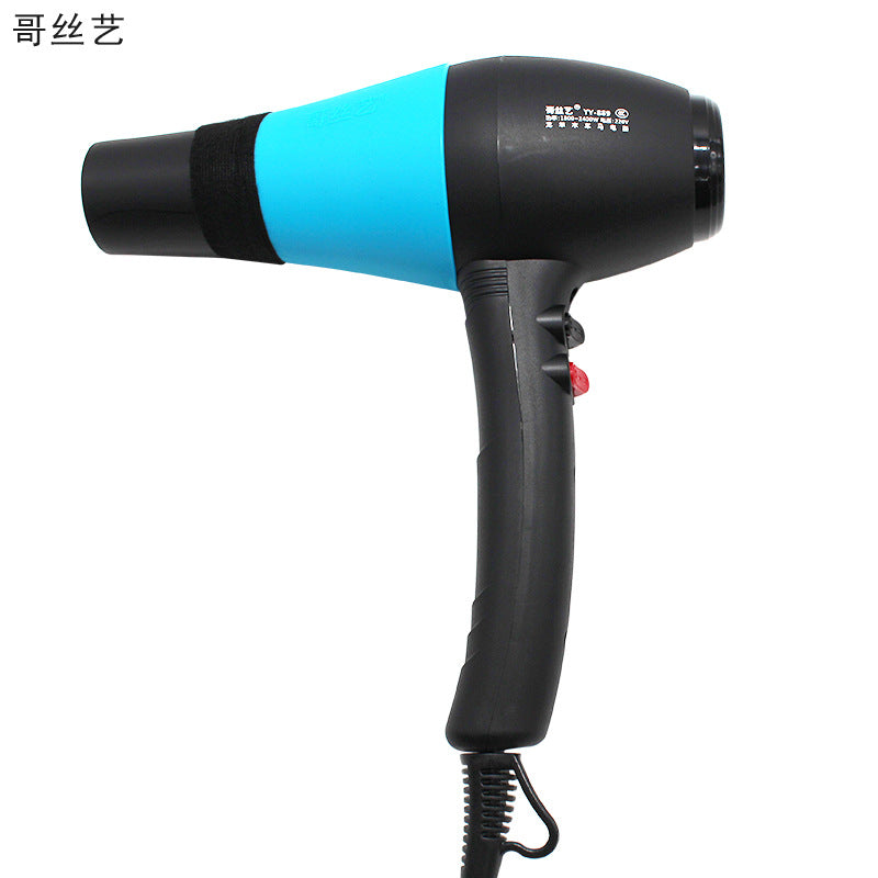 Professional Hair Dryer