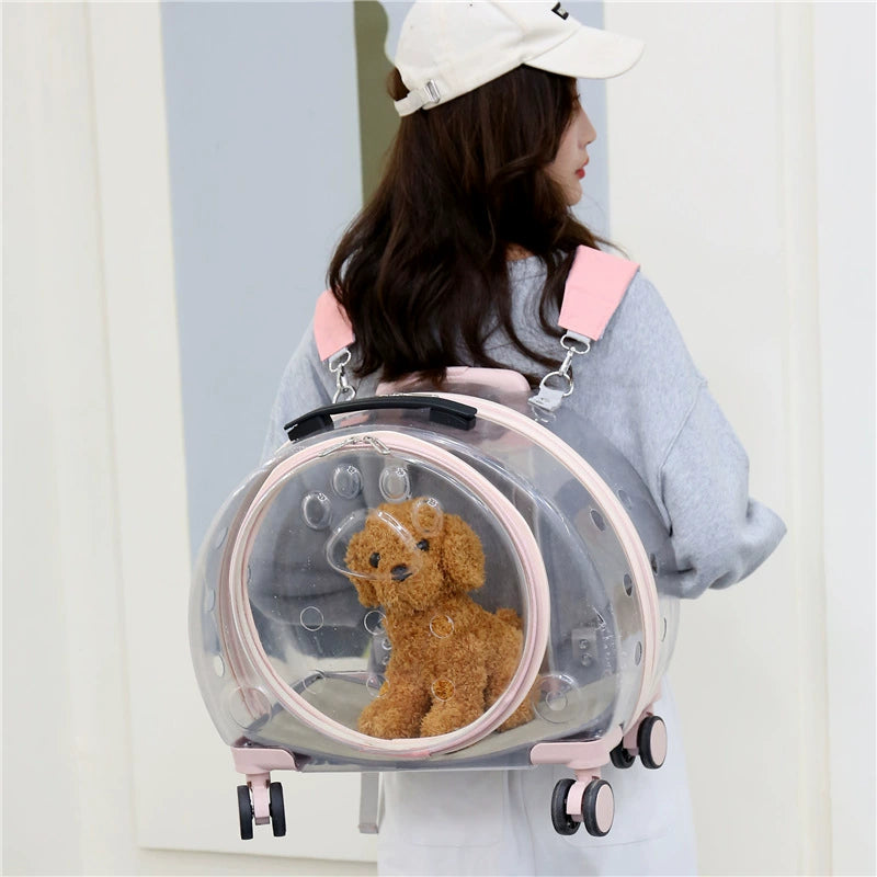Pet Transparent Trolley Carrier