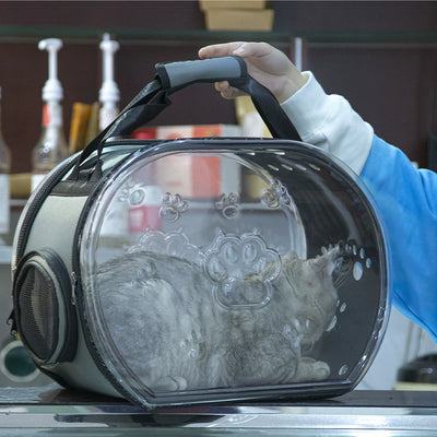 Transparent Capsule Pet Bag