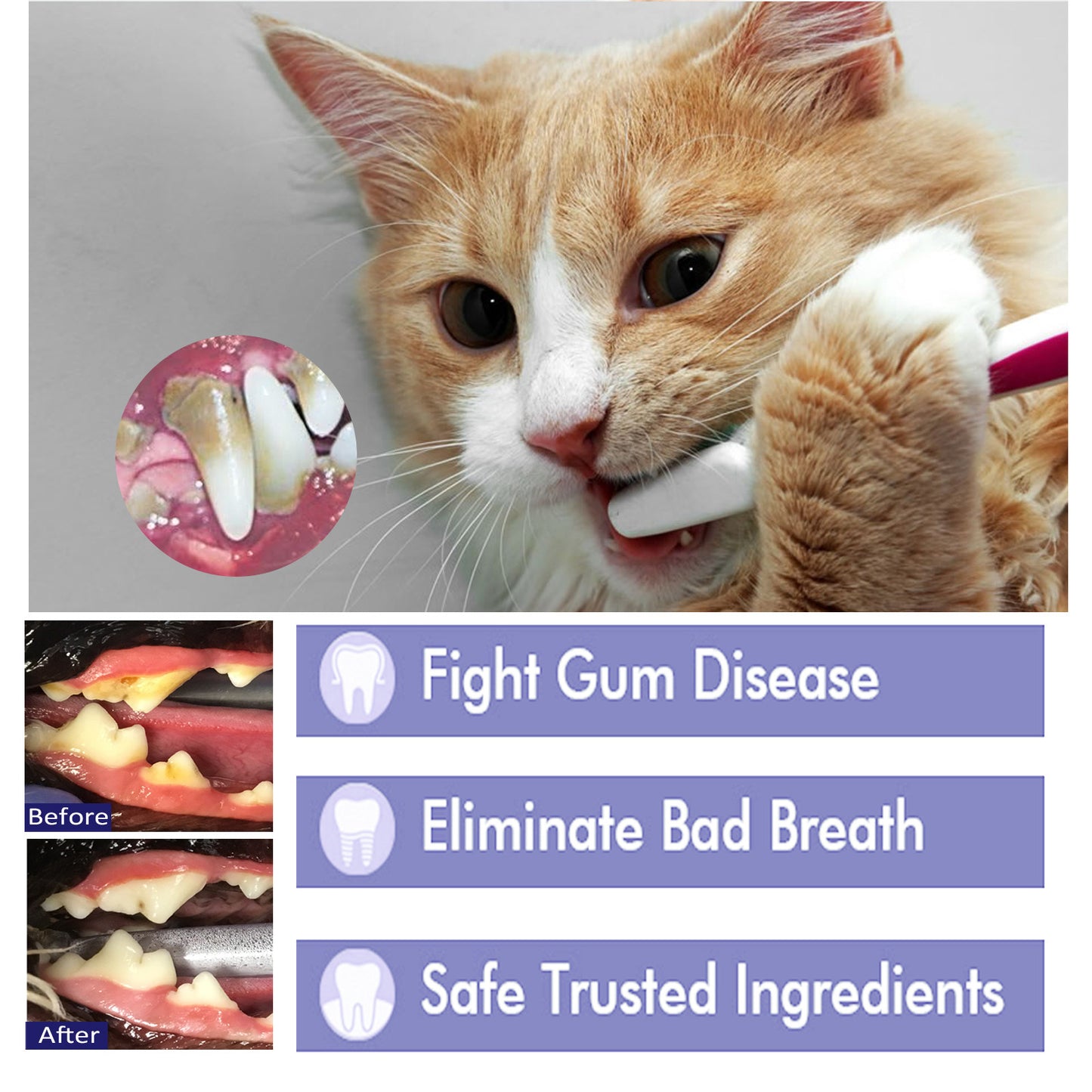 YEGBONG - Specialized Pet Toothpaste