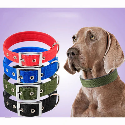 Pet Padded Collar