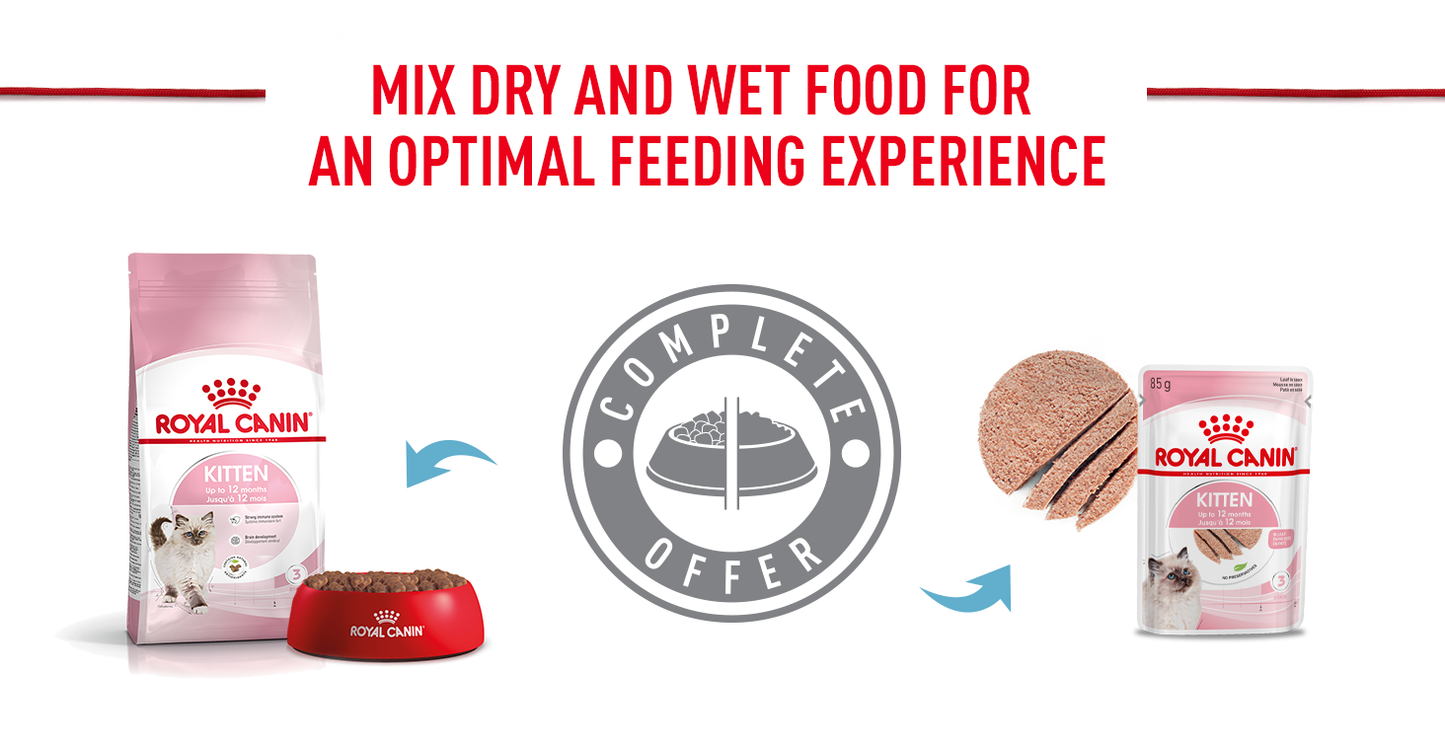ROYAL CANIN - Kitten Dry Food