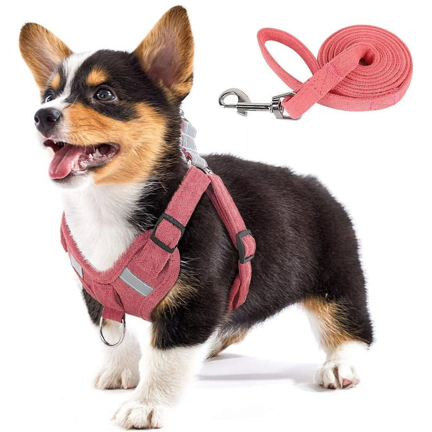 Suede Harness and Leash