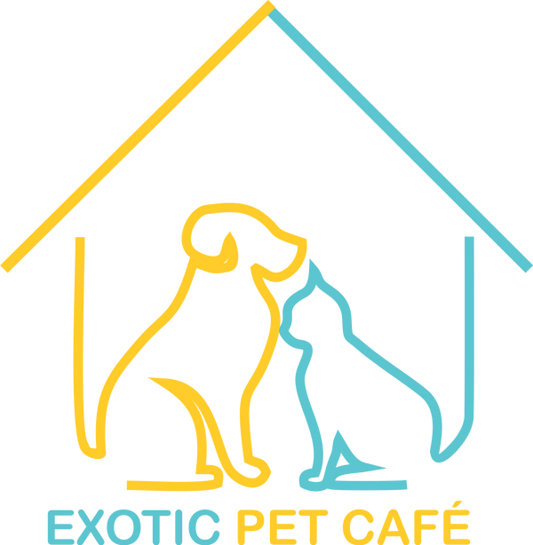 Exotic Pet Café