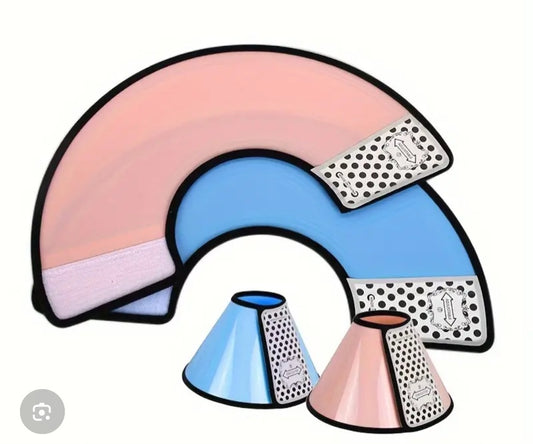 Coloured Elizabeth Protection Collar