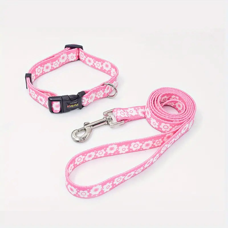 Colourful Dog Collar With Leash