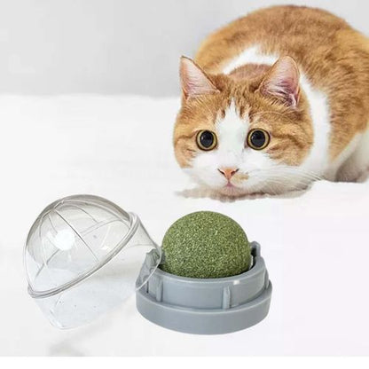 Catnip Licking Ball