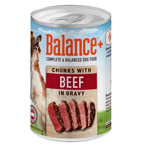 BALANCE - Chunks In Gravy