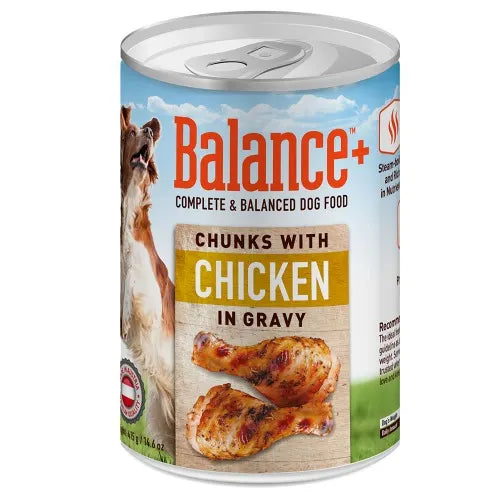 BALANCE - Chunks In Gravy