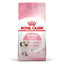 ROYAL CANIN - Kitten Dry Food