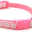 Paw & Print Design Pet Collar