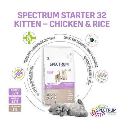 SPECTRUM - Kitten 32