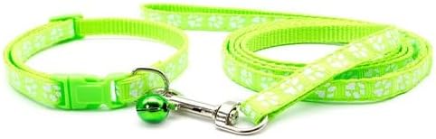 Paw & Print Design Pet Collar and Lead