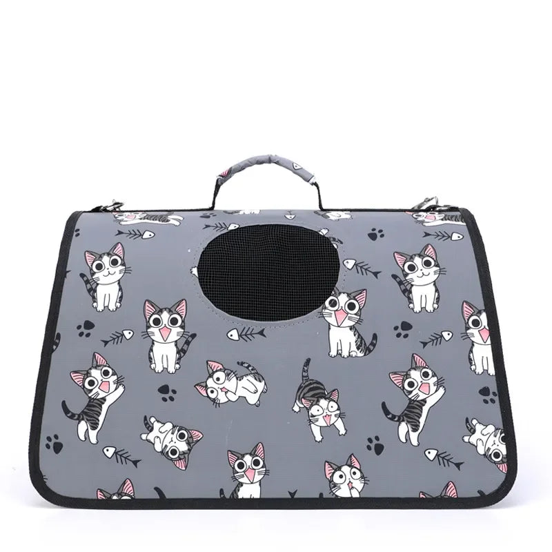 Character Pet Carrier Bag