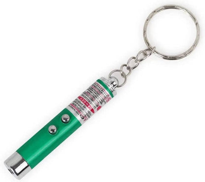 1mW Green Laser Pointer Keychain - USB Rechargeable, Pet Toy, 532nm, Blue-Grey