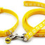 Paw & Print Design Pet Collar and Lead
