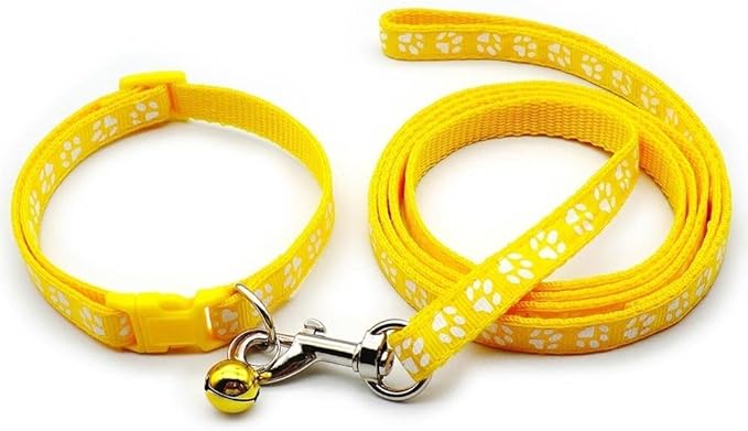 Paw & Print Design Pet Collar and Lead