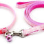 Paw & Print Design Pet Collar and Lead