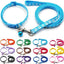 Paw & Print Design Pet Collar and Lead