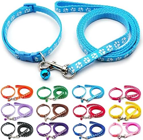 Paw & Print Design Pet Collar and Lead