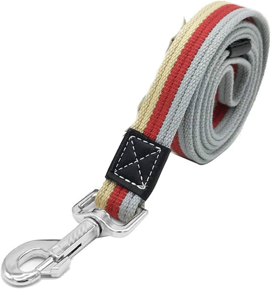 Canva Striped Color Leash