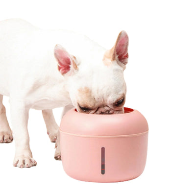Ultra-Quiet Filtered Pet Water Fountain Bowl