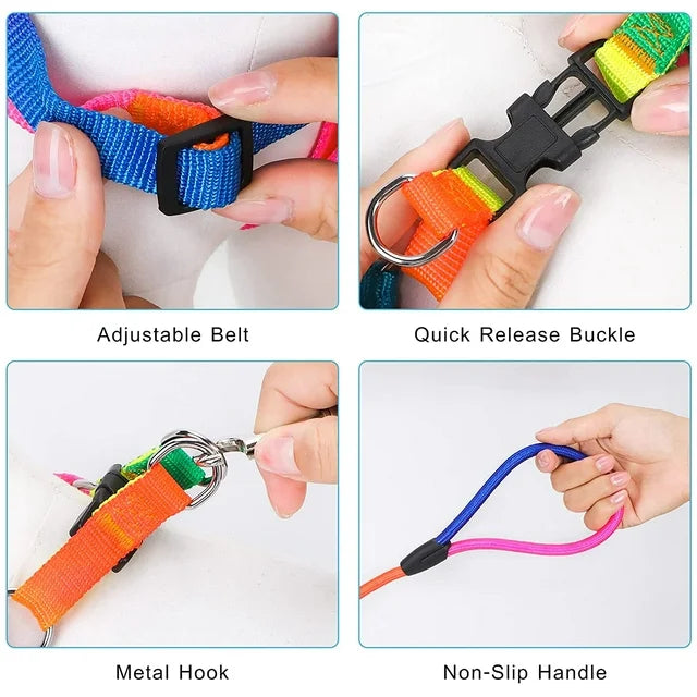 Rainbow Adjustable Harness and Leash