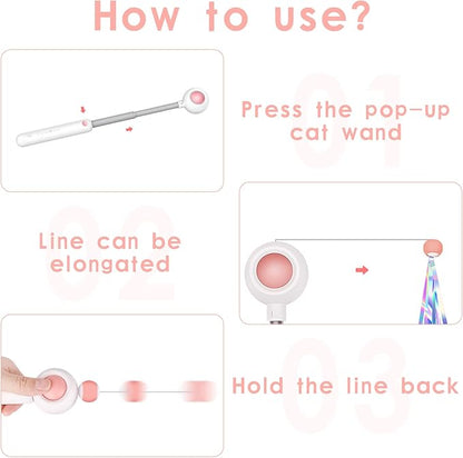 RETRACTABLE CAT WAND