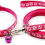 Paw & Print Design Pet Collar and Lead