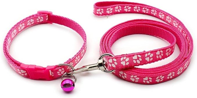 Paw & Print Design Pet Collar and Lead