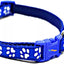Paw & Print Design Pet Collar