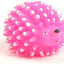 Squeaky Little Hedgehog Toy