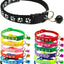 Paw & Print Design Pet Collar