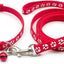 Paw & Print Design Pet Collar and Lead