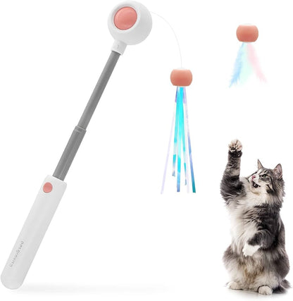 RETRACTABLE CAT WAND