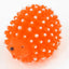 Squeaky Little Hedgehog Toy