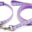Paw & Print Design Pet Collar and Lead