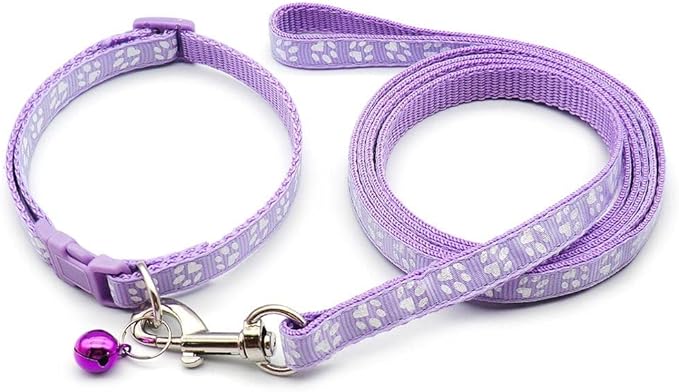 Paw & Print Design Pet Collar and Lead