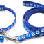 Paw & Print Design Pet Collar and Lead