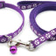 Paw & Print Design Pet Collar and Lead