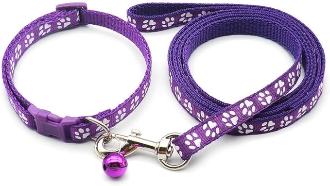 Paw & Print Design Pet Collar and Lead