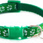 Paw & Print Design Pet Collar